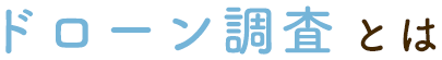 ドローン調査とは